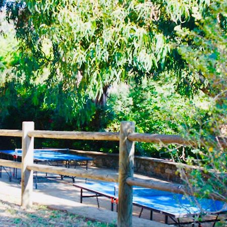 Mazet « Domaine De La Pinede » Διαμέρισμα Le Lavandou Εξωτερικό φωτογραφία