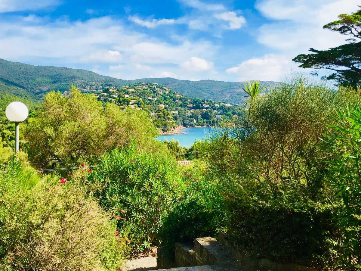 Mazet « Domaine De La Pinede » Διαμέρισμα Le Lavandou Εξωτερικό φωτογραφία