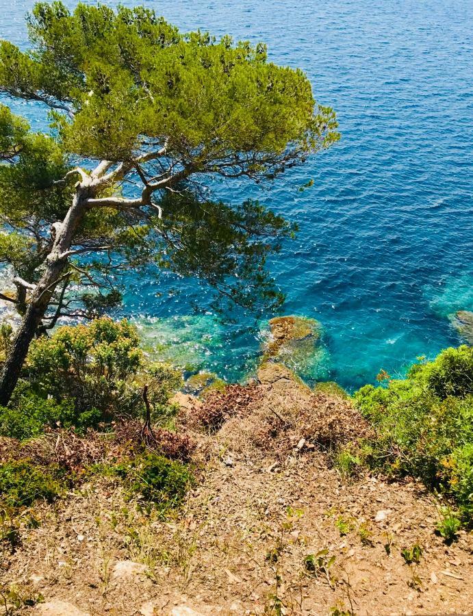 Mazet « Domaine De La Pinede » Διαμέρισμα Le Lavandou Εξωτερικό φωτογραφία